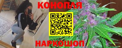 стаф Краснознаменск