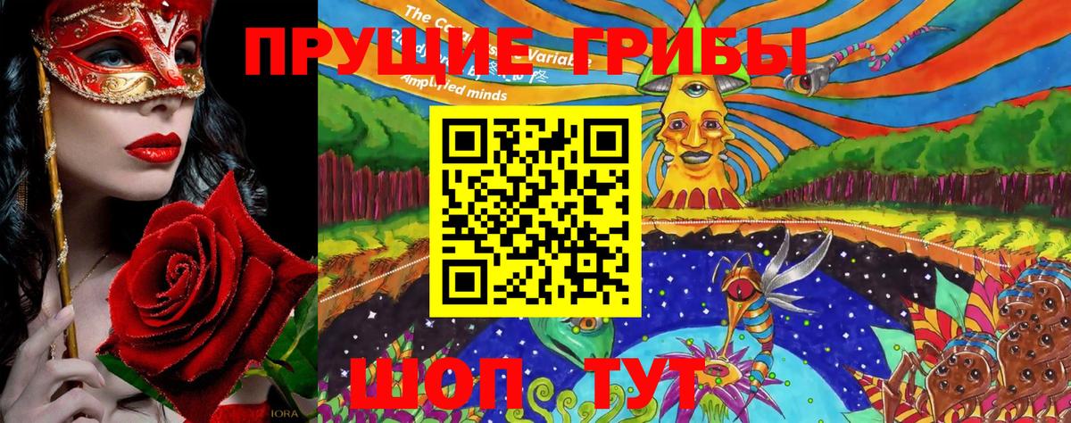 Чита  Галлюциногенные грибы Psilocybe  где можно купить наркотик  Вход с VPN 
